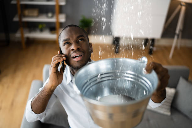  Springdale, NC Water damage restoration Pros