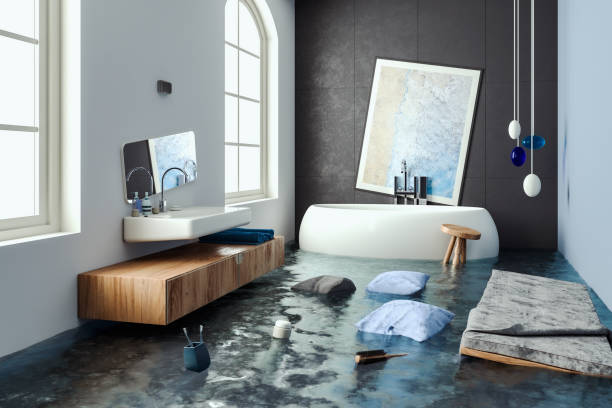 Best Flood damage cleanup  in Springdale, NC