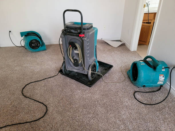 Best Carpet water damage restoration  in Springdale, NC