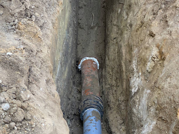 Best Sewage cleanup and water damage restoration  in Springdale, NC