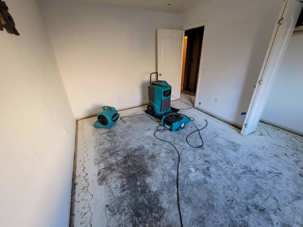 Best Basement water damage restoration  in Springdale, NC