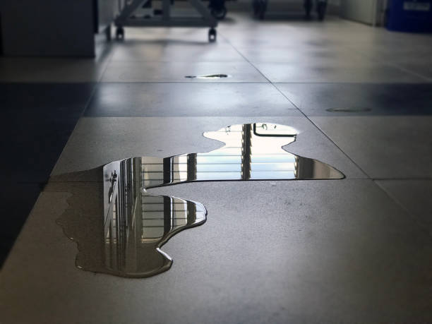Best 24-hour water damage restoration  in Springdale, NC