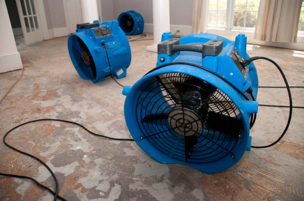 Best Water damage restoration company  in Springdale, NC