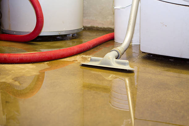 Best Flood restoration services  in Springdale, NC