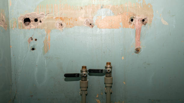 Best Professional water damage repair  in Springdale, NC