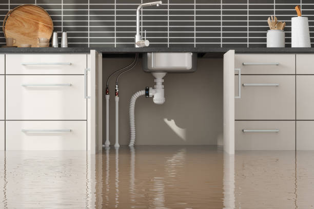 Best Commercial water damage restoration  in Springdale, NC