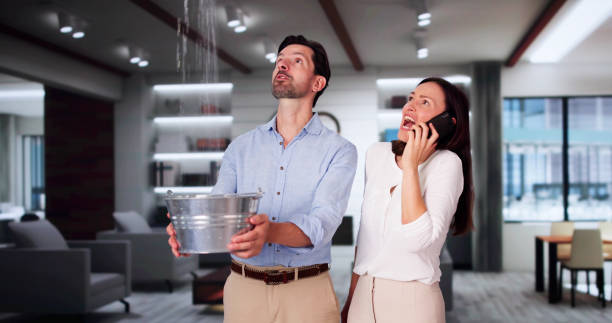 Best Mold removal after water damage  in Springdale, NC