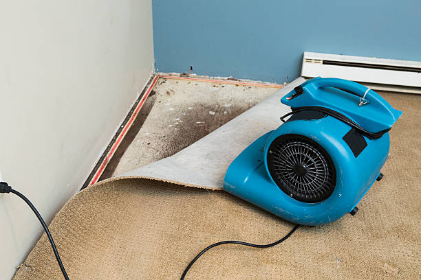 Best Residential water damage restoration  in Springdale, NC